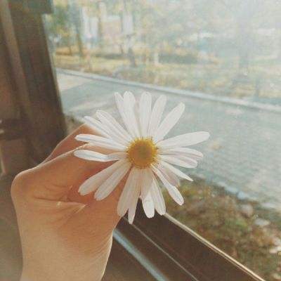 BOB半岛·体育官方平台